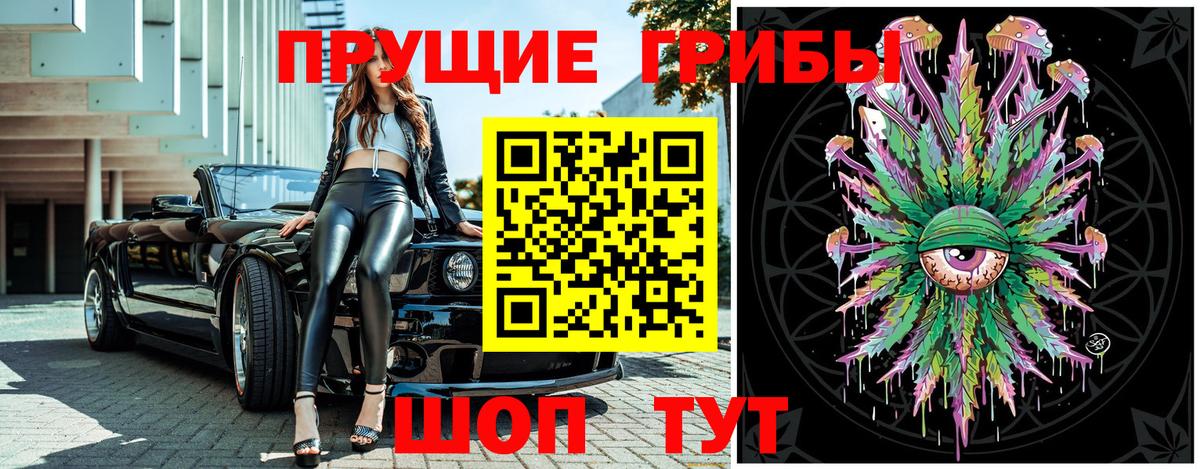 Краснокаменск  Псилоцибиновые грибы Psilocybine cubensis  Вход с VPN 