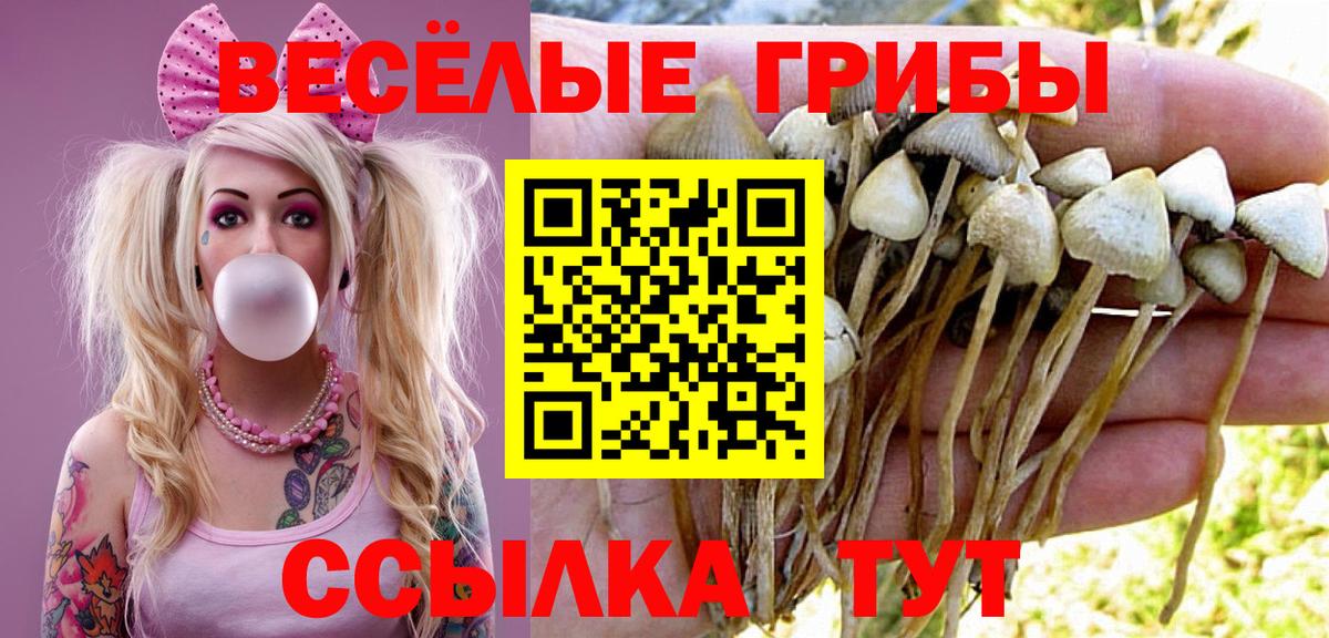 Галлюциногенные грибы прущие грибы Краснокаменск